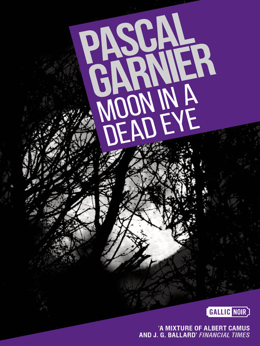 Title details for Moon in a Dead Eye by Pascal Garnier - Available